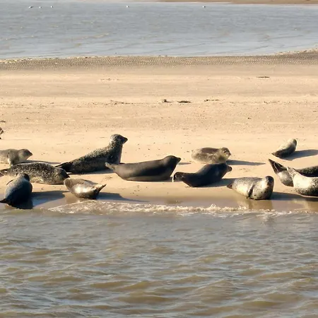 アパート Huus Wattenmeer In Nessmersiel An Der Nordsee ドルヌム