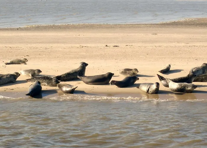Lägenhet Huus Wattenmeer In Nessmersiel An Der Nordsee Dornum